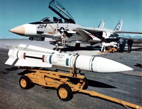 نیش زهر آگین گربه های وحشی  AIM-54 Phoenix