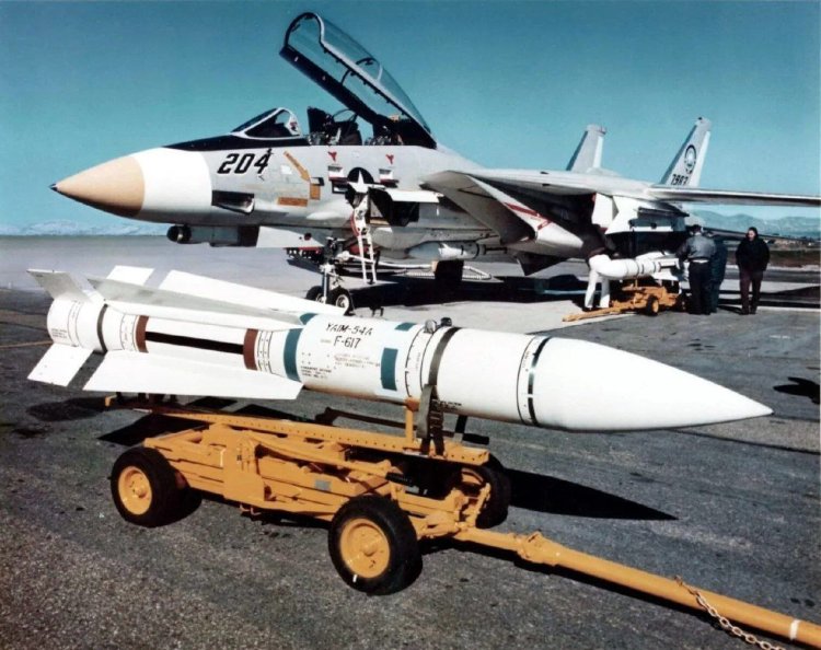 نیش زهر آگین گربه های وحشی  AIM-54 Phoenix